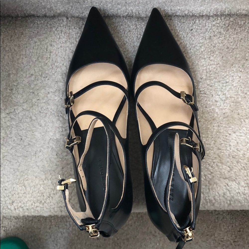 Zara new never used rare to find pointed shoes
